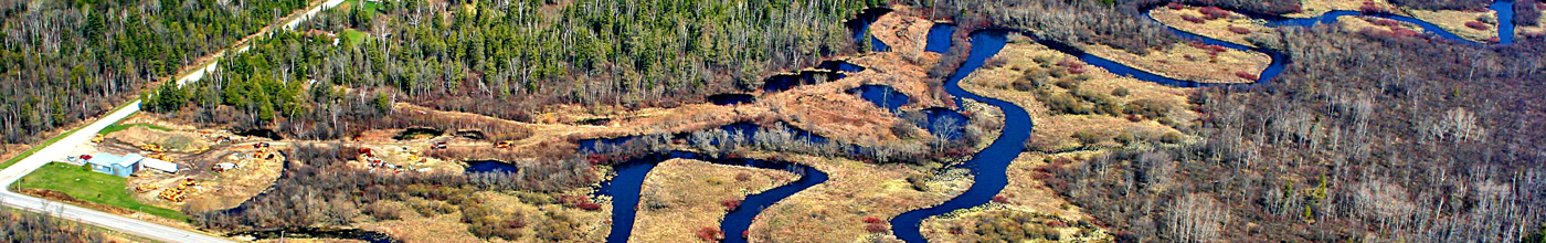 aerial view of wetlands
