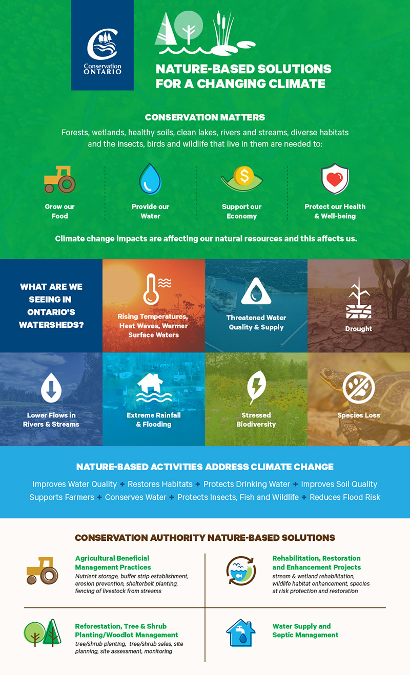 nature based solutions infographic