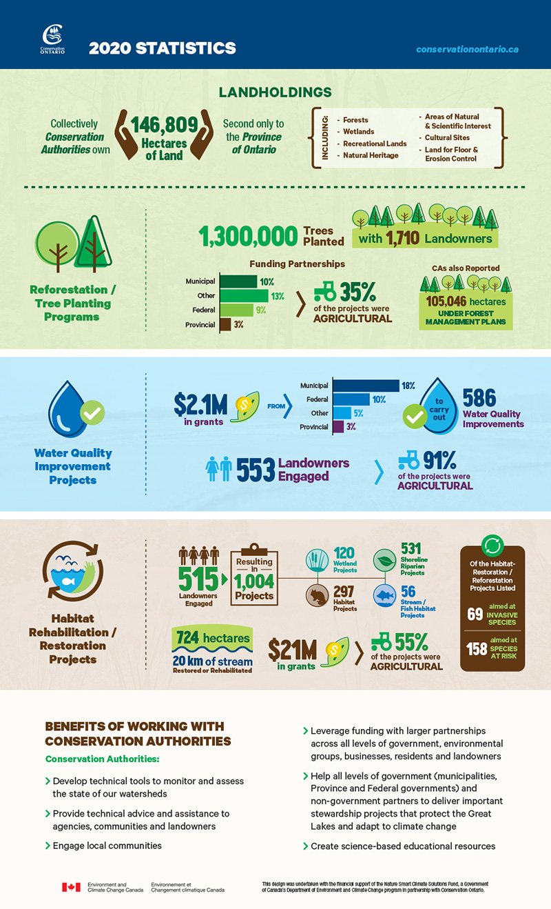 nature based solutions infographic