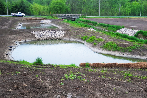 recently created runoff ponds