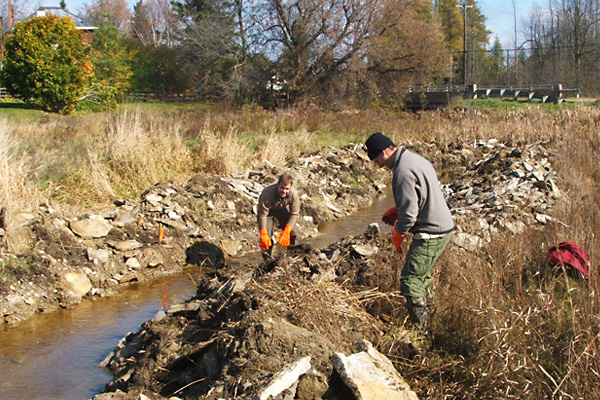 habitat restoration